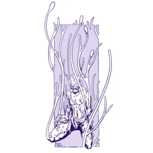 Illustration of a man infected by Cordyceps