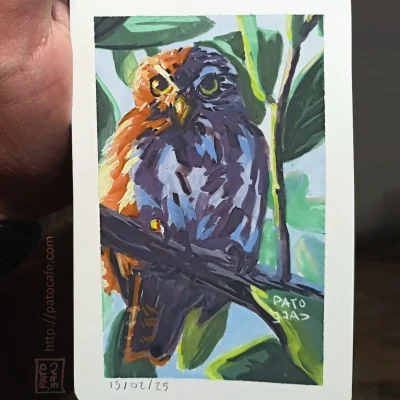 small goauche painting of an owl